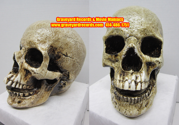 Life Like Human Skull # 3 - Opened Mouth